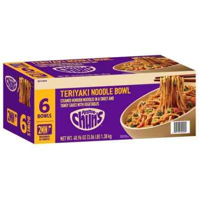 TERI NOODLE BOWL 6-8.16 OZ